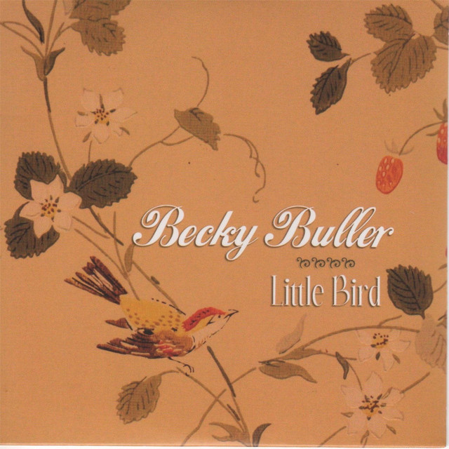 Little Bird cover