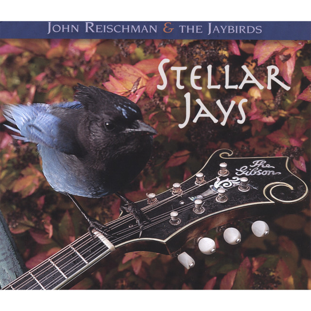 Stellar Jays cover