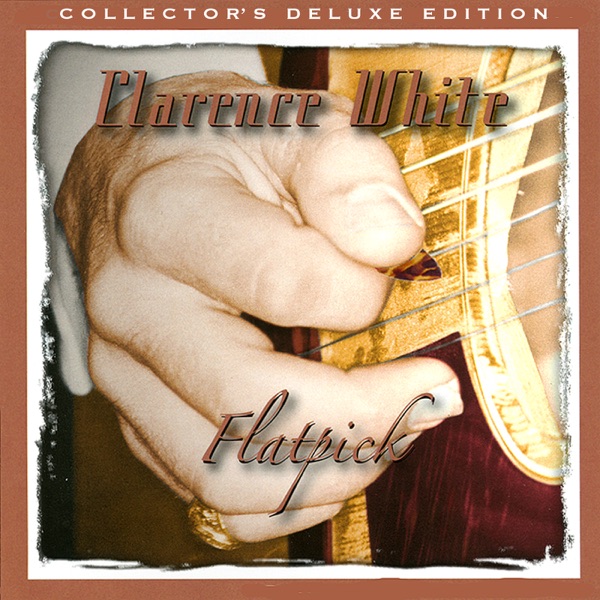 Flatpick cover