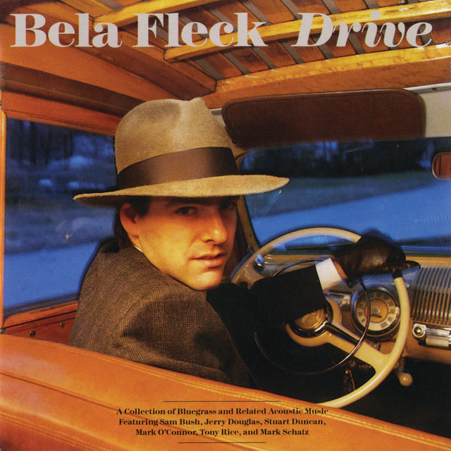 Drive cover