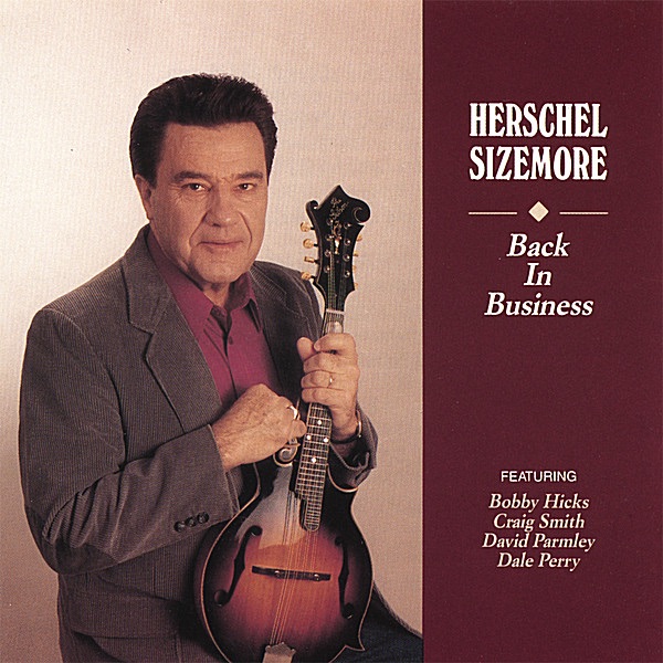 Back in Business cover