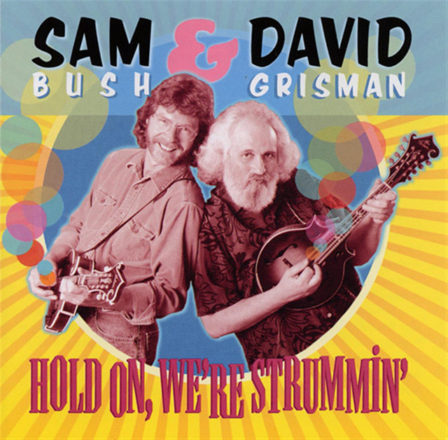 Hold On, We’re Strummin’ cover